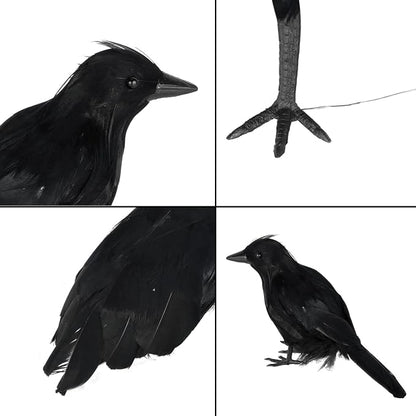 Sezn™ Crows