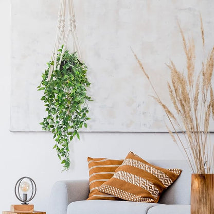 Sezn™ Hanging Plants