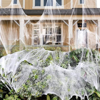 Sezn™ Spider Web