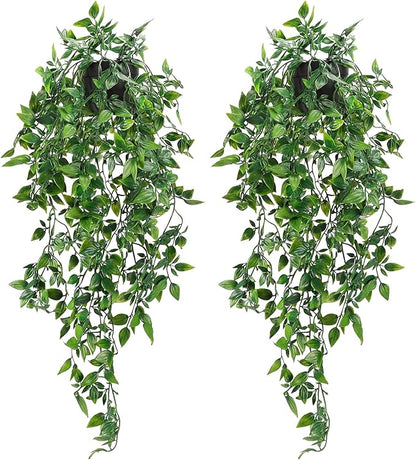 Sezn™ Hanging Plants