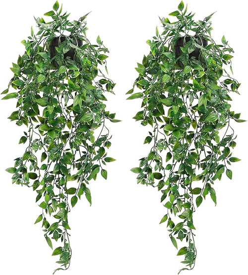 Sezn™ Hanging Plants