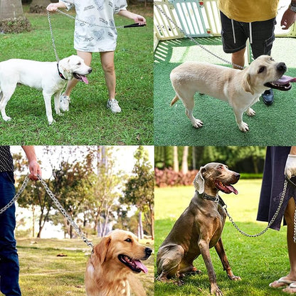 Sezn™ Heavy Dog Leash